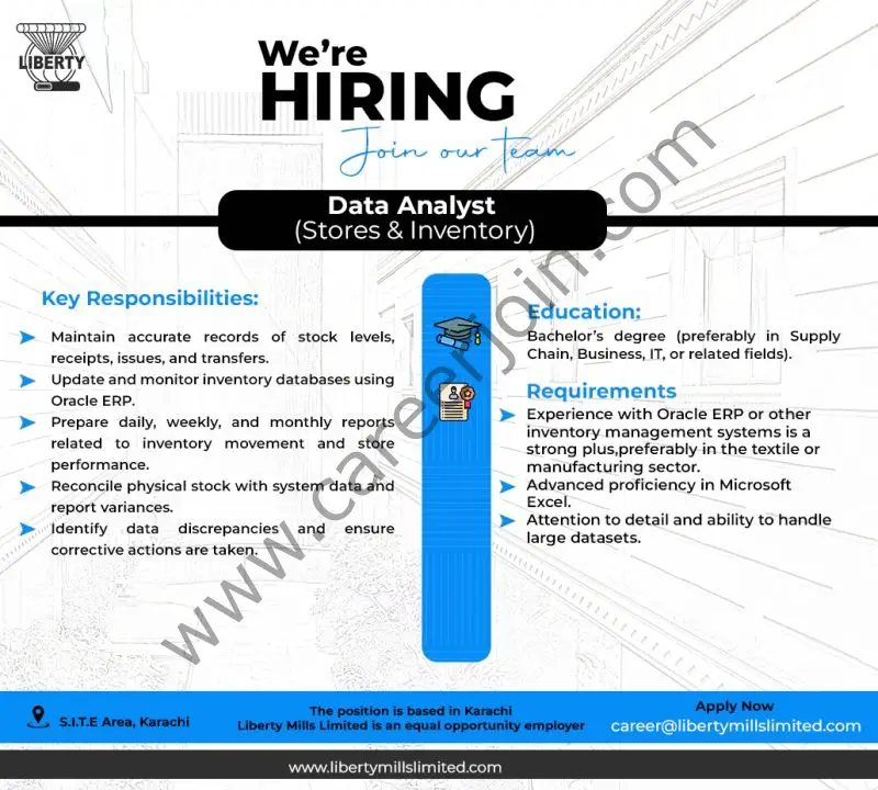 Liberty Mills Limited Jobs Data Analyst