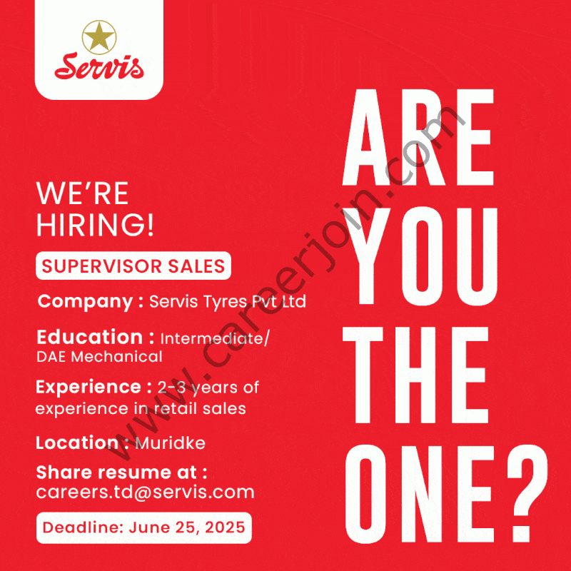 Servis Tyres Pvt Ltd Jobs June 2025