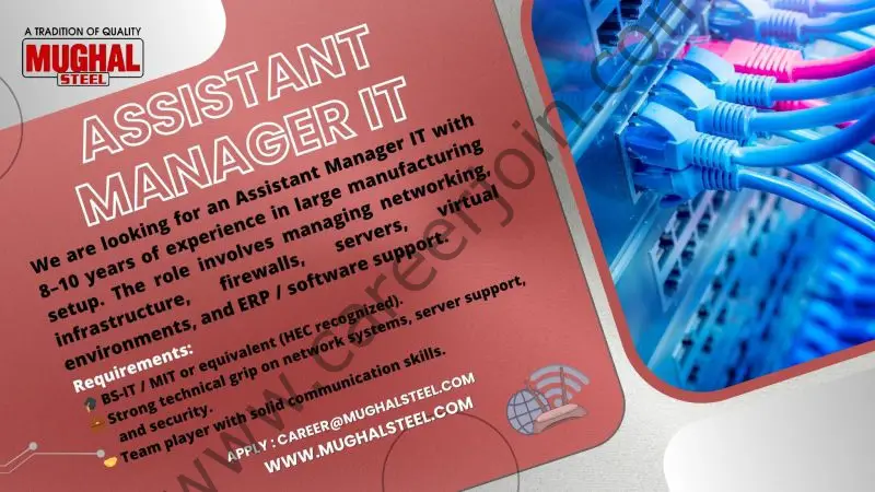 Mughal Steel Jobs Assistant Manager IT