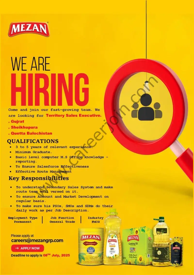 Mezan Oil & Ghee Jobs Territory Sales Executive