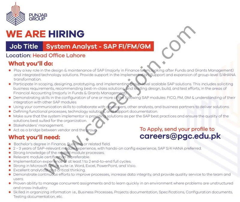 Punjab Group Jobs System Analyst